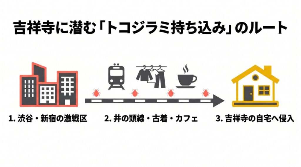 武蔵野市吉祥寺エリアにおけるトコジラミの持ち込みルート図解。渋谷や新宿の激戦区から京王井の頭線、アパレル店の古着、カフェの布製ソファを中継して吉祥寺の自宅へ侵入する3ステップの解説イラスト