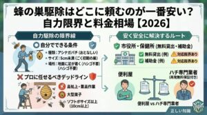 蜂の巣駆除はどこに頼むのが一番安い？自力限界と料金相場【2026】