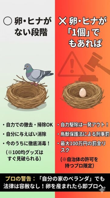 鳥獣保護法によるハト駆除の法律の罠と自力対策の限界線を解説した比較図解。左側は自力対策が可能な段階として『卵やヒナがまだない空の巣』を提示。右側は自力対策不可となるデッドラインとして『卵やヒナが1つでもある状態』を提示し、無許可で撤去・処分すると鳥獣保護法違反により1年以下の懲役または100万円以下の罰金が科される刑事罰リスクを赤色で強調。卵が産まれた瞬間にセルフ対策はゲームオーバーとなり、自治体の許可を持つ専門業者へ依頼するしか合法的な手段がなくなる現実を説明している図解。