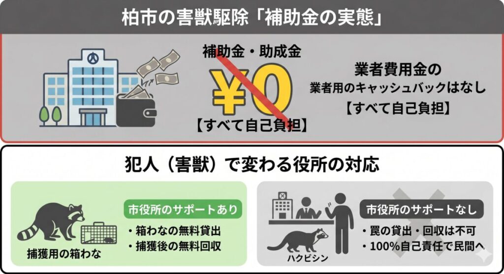 2026年現在の柏市における害獣駆除補助金制度と行政サポートの範囲の図解。上部には、民間業者への費用に対する補助金や助成金は一律で「0円（100%自己負担）」であるファクトを表示。下部では害獣ごとの対応の差を解説しており、アライグマ（特定外来生物）は市役所による箱わなの無料貸出や回収がある一方、ハクビシン（野生鳥獣）は罠の貸出や駆除サポートが一切なく、100%自己責任で民間業者に頼る必要がある仕組みを対比したイラスト。